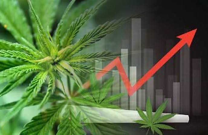 Read more about the article It’s not that easy bein’ green: Aussie pot stocks start FY20 in a slump