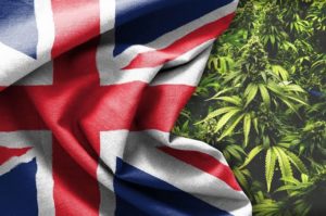 Weed Week- Thought the Brits weren’t into cannabis? Think again