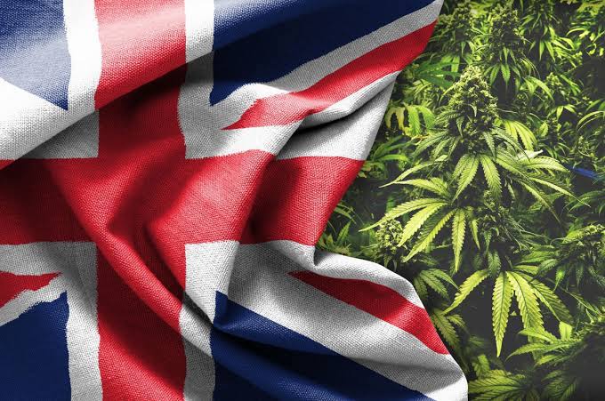 Read more about the article Weed Week: Thought the Brits weren’t into cannabis? Think again